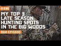 My top 3 late season hunting spots in the big woods  qa  east meets west hunt  ep 339