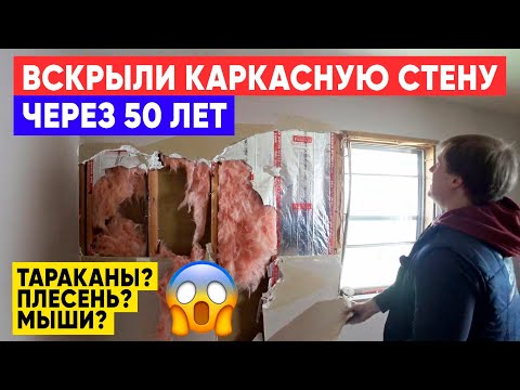 Вскрытие стены каркасного дома через 50 лет! Тарканы? Плесень? Мыши в каркасном доме?