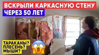 Вскрытие стены каркасного дома через 50 лет! Тарканы? Плесень? Мыши в каркасном доме?