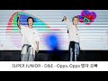 SUPER JUNIOR - D&amp;E - Oppa, Oppa 떴다 오빠 ( 20240324 高雄櫻花季 SAKURA FESTIVAL ) |4K