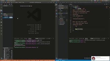 [rust-analyzer] Debug Rust LSP server demo