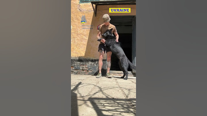 Не бачила мене аж 3 години і вже скучила 🤪