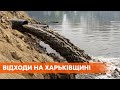 В Харьковской области молокозавод загрязняет лес вонючими отходами