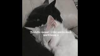ysabelle cuevas - i like you so much you'll know it (sped up)