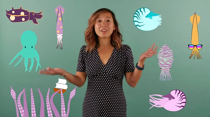 The ABCs of Cephalopods with Conservation Biologis...