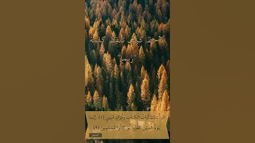 الآية ٢ من سورة الحجر. لاحظ كيف تلفظ كلمة "ربَما"