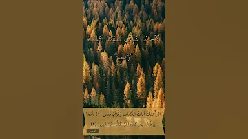 الآية ٢ من سورة الحجر لاحظ كيف تلفظ كلمة رب ما 