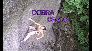 Cobra Crack 2006