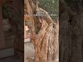 Kapil Muni Ki Tapo-Bhoomi | Hidden Spiritual Place in Rajasthan#IndianHistory#RajasthanSpiritual.