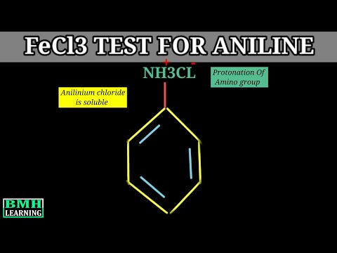 Video: Ar anilinas rodo karbilamino tyrimą?