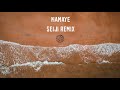 Miniature de la vidéo de la chanson Mamaye (Seiji Remix)