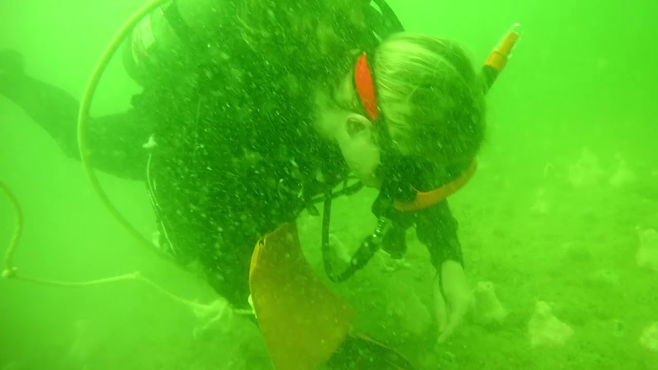 Venice, FL Scuba Dive trip YouTube