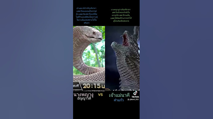 💗🐍ปะทะ❤️🐉 ใครชนะ✌️😃