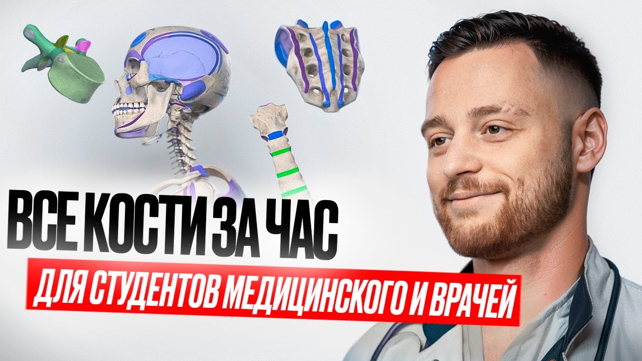 Остеология за 60 минут | Скелет человека | Анатомия
