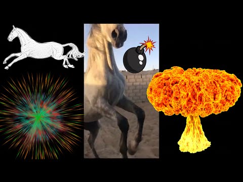 رفسة خيل مميته Kick A Horse