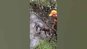 How GSP Trains for Recovery