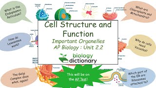 Famous Cell Structure and Function - Important Organelles | AP Biology 2.2 Profile