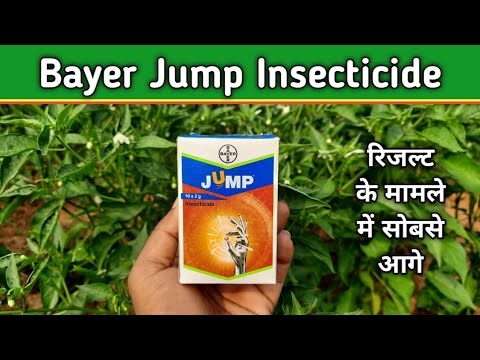 Bayer Jump Insecticide || Jump bayer आखिर क्यों इतना मार्केट में फेमस है ?