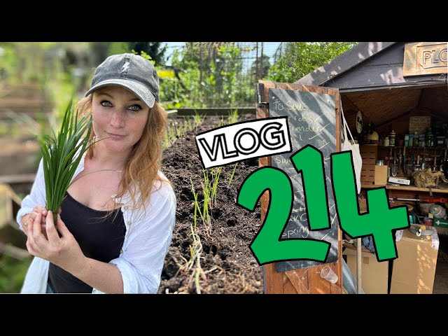 Sowing Carrots, Sweetcorn and Herbs! + Planting a Kiwi. Ep214 || Plot 37 class=