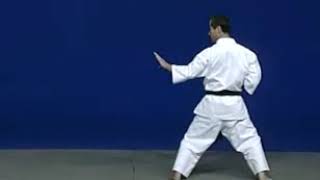 Wado Ryu Karate kata niseishi