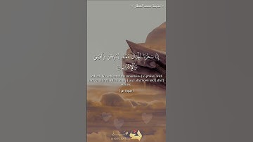 تلاوات القران الكريم بصوت الشيخ القارئ حذيفة محمد العطار سورة ص