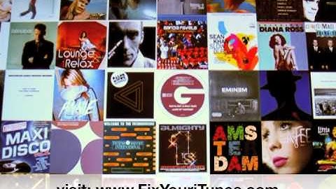 Organize Your iTunes Song Library Automatically - Fix iTunes!