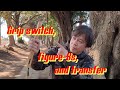Variation of lesson ⑧『Grip switch, figure-8s, and transfer』It’s a move I developed myself!