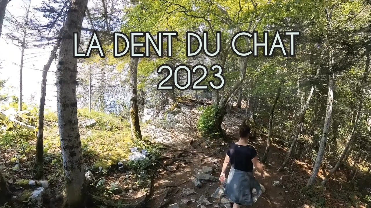 Ascension de la Dent du Chat