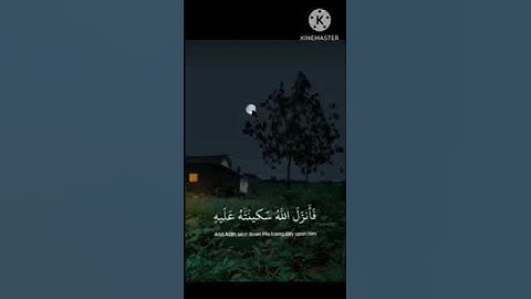 أجر لي ولكم ( سورة التوبة ): القارئ عبدالرحمن مسعد 🩶