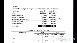 COMMON SIZE INCOME STATEMENT
