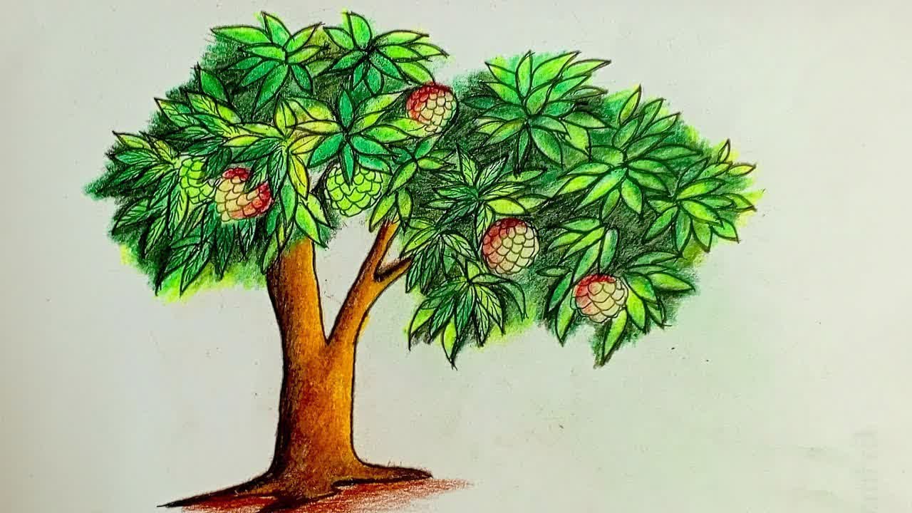 NEW! How to Draw a Fig Tree  Step by Step Guide for Beginners