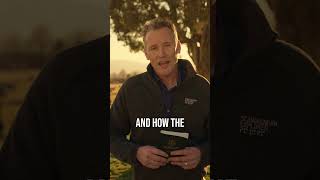 Evidence for Christs Resurrection