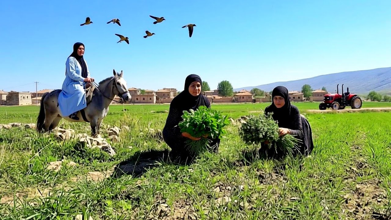 Village Life in Iran | Mother & Daughter Harvest Wild Tolyeh & Cook Traditional Dinner | ILAM 