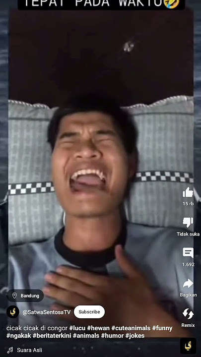 cicak bilek:berisik suara lu jelek🗿#lucu #meme ##cicak #