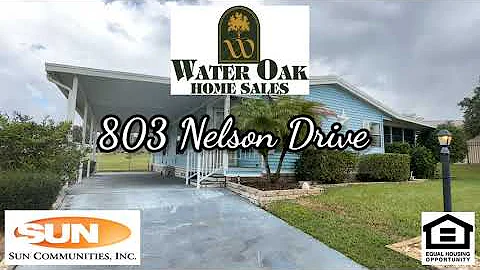 803 Nelson Drive, Lady Lake, FL 32159