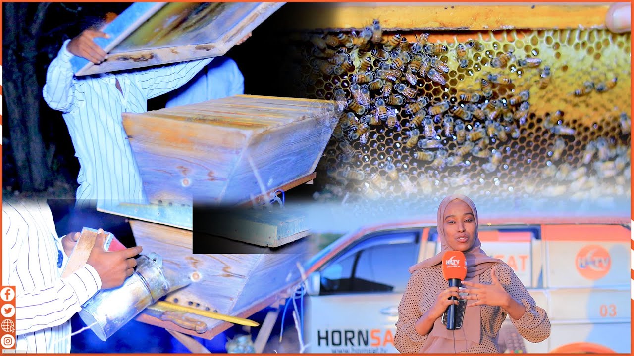 warbixin : Habka loo diyaariyo malabka