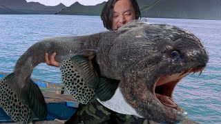 This MASSIVE Fish Attacked People...Until It Was Caught!!!