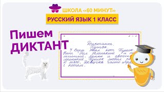 Пишем диктант в 1 классе "Пушок". Школа 60 мину