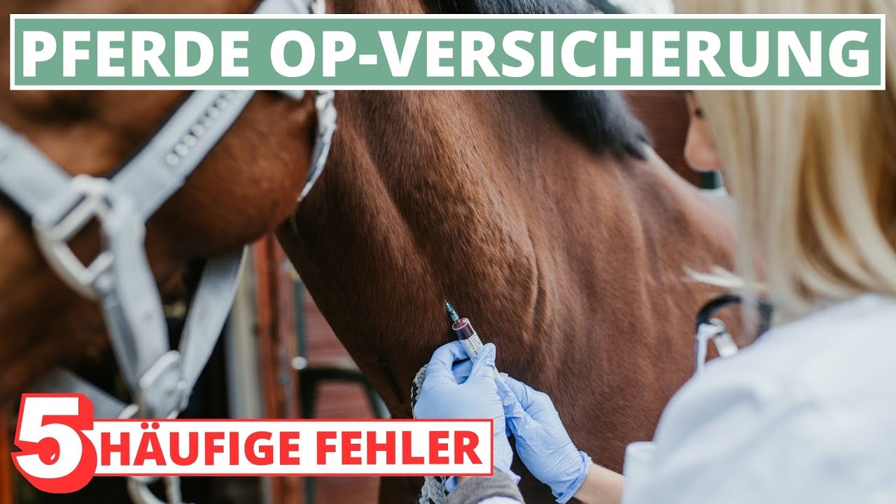 Erstaunlich R V Pferde Op Versicherung Ebenbildnull