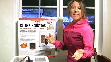 Guide to Incubating and Hatching Eggs / What to do Before Incubating Eggs