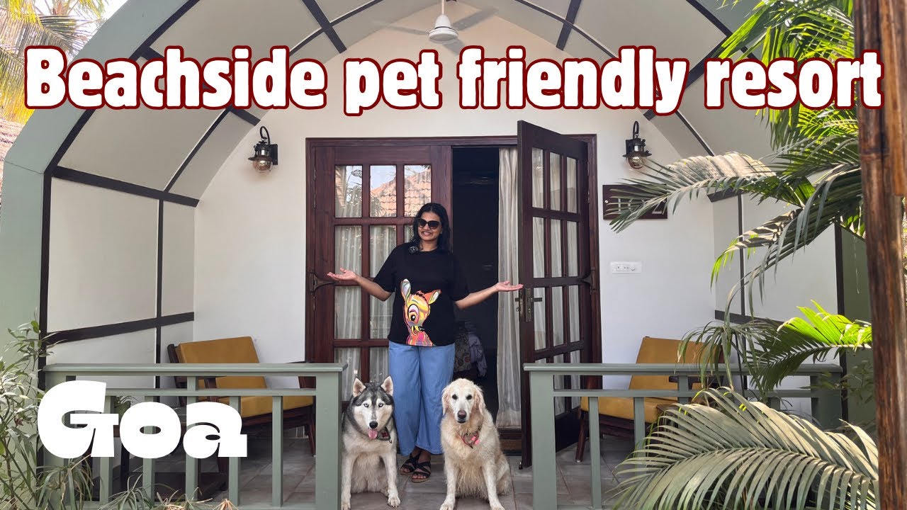 Beachside resort Pet friendly North Goa YouTube
