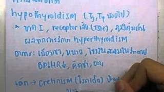 ormBio ver2 : ระบบต่อมไร้ท่อ ตอน03