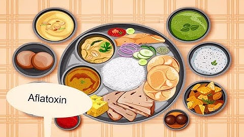 2D Animation Explainer Video -  Sample -