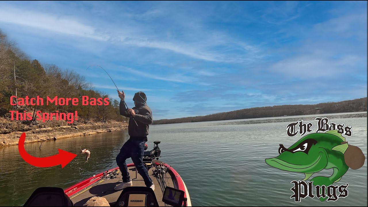 Unlocking Table Rock Lakes Prespawn Secrets | Bass Plugs