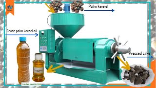 500kg per hour palm kernel oil expeller machine, palm kernel oil extractor machine working video