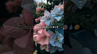 Jis Cheez Se Dard Mile - Lofi Lyrics Video | New Aesthetic Chill Mix 💔 #lofimusic #new #lofi