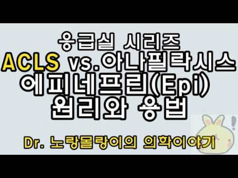 에피네프린(Epinephrine) 원리/기전(mechanism)과 용법(용량/주입속도): 심정지와 아나필락시스