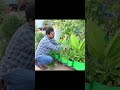 జ్వరాలతో జాగ్రత్త