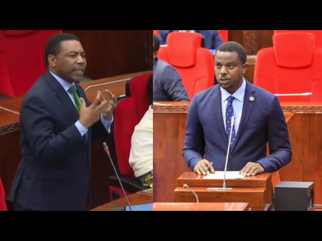 MWIGULU NCHEMBA ATOA YA MOYONI KWA WAZIRI BASHUNGWA | APEWE HIYO BAJETI |NAIPENDA CCM INAFANYA KWELI class=