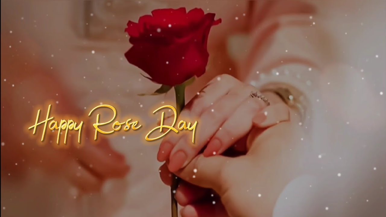 Happy rose day 🌹 Rose day status 7 February whatsapp status